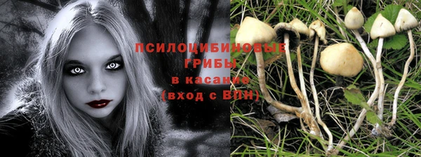 соль ск Абаза