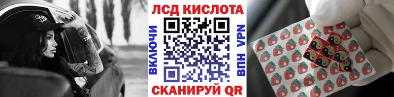 сколько стоит  Александров  Марки N-bome 1500мкг 