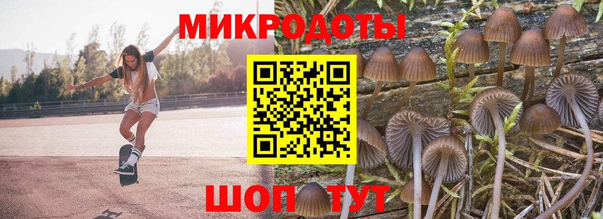 Александров  купить   Галлюциногенные грибы Psilocybine cubensis  Вход с VPN  Псилоцибиновые грибы ЛСД 