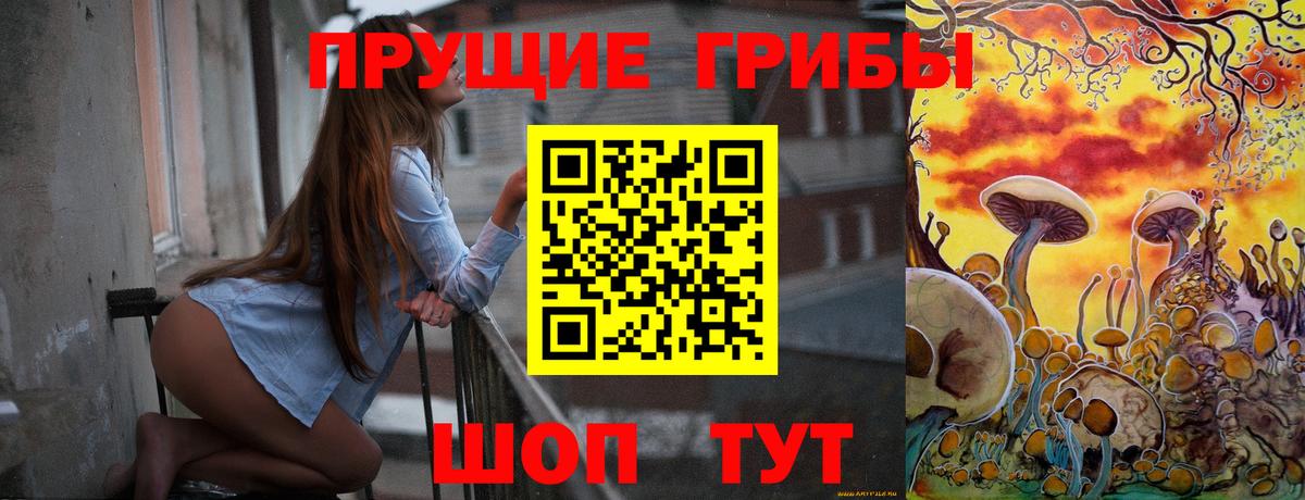 Псилоцибиновые грибы мицелий Александров