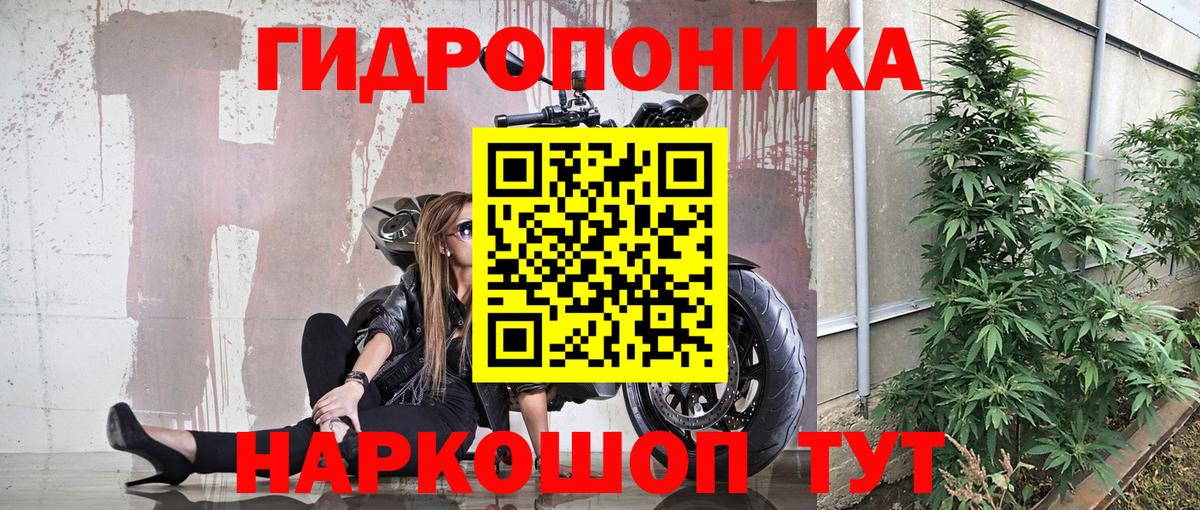 Каннабис план Александров